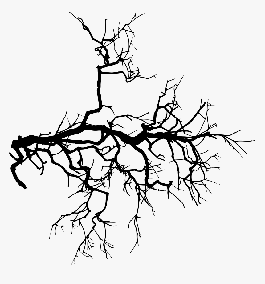 Spooky Tree Png, Transparent Png, Free Download