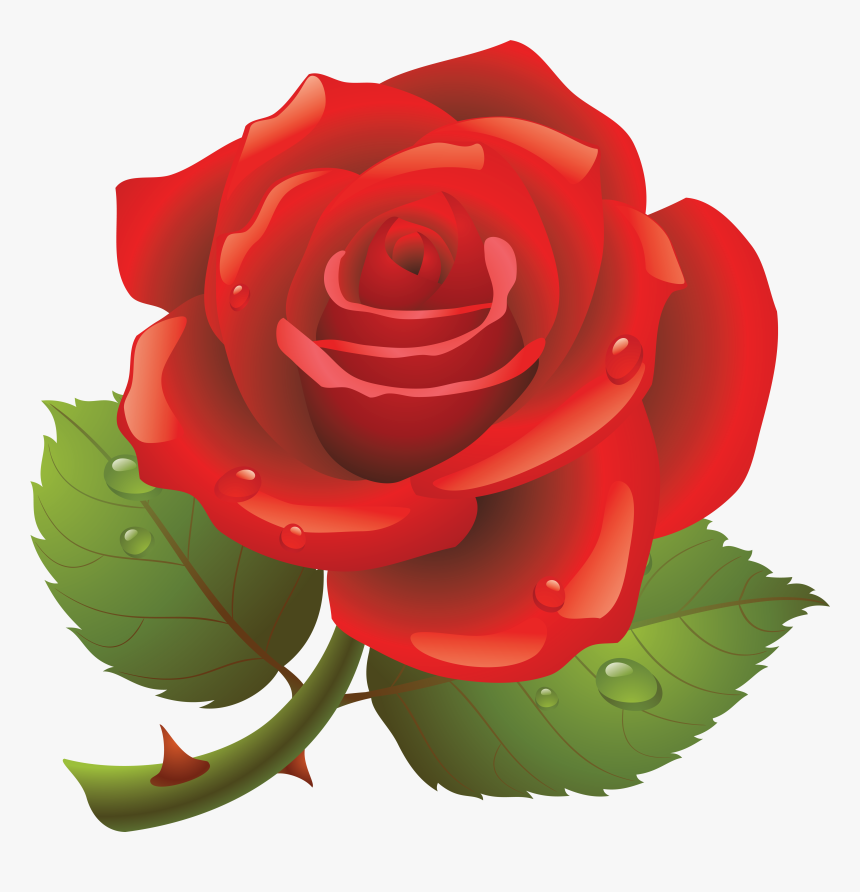 Rose Clipart Transparent Background, HD Png Download, Free Download