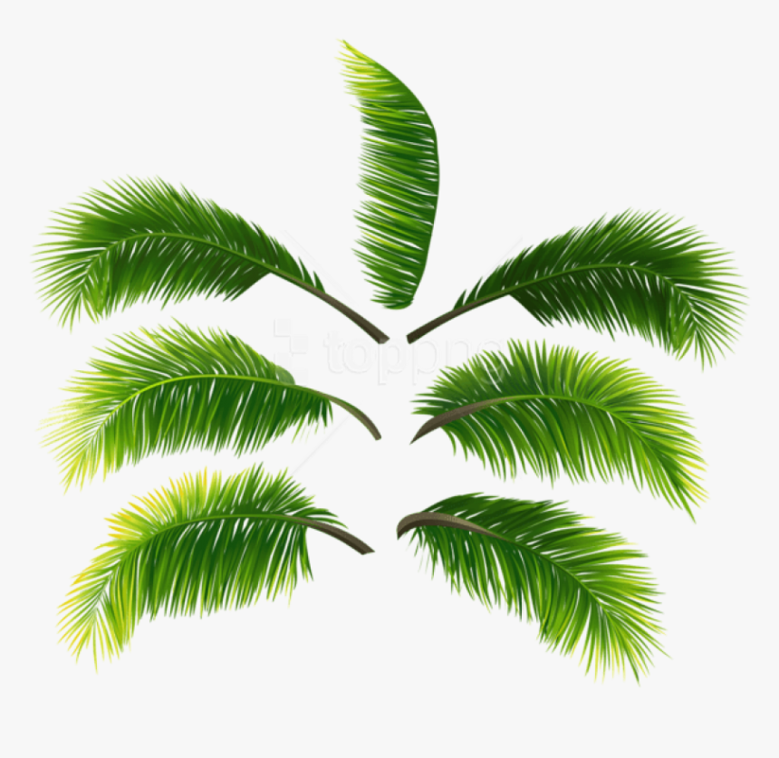 Free Png Download Palm Leaves Clipart Png Photo Png, Transparent Png, Free Download