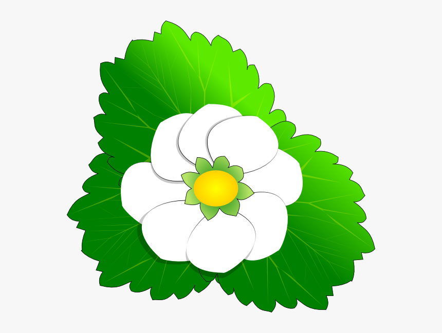Strawberry Flower Svg Clip Arts, HD Png Download, Free Download