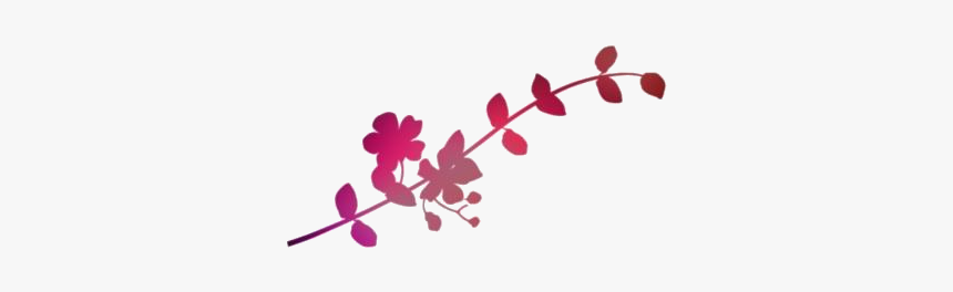 Flower Divider Png Image Clipart, Transparent Png, Free Download