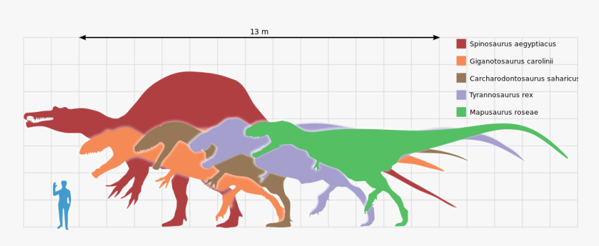 Spinosaurus Png, Transparent Png, Free Download