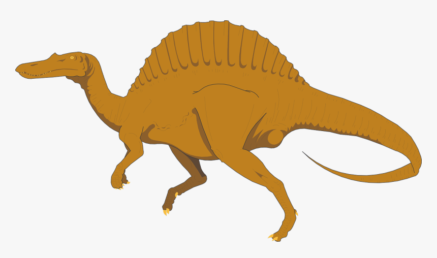 Spinosaurus Png, Transparent Png, Free Download