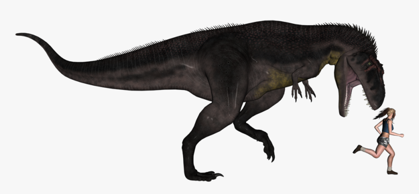 Tyrannotitan, HD Png Download, Free Download