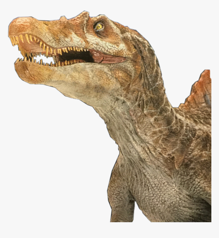 #spinosaurus #freetoedit, HD Png Download, Free Download