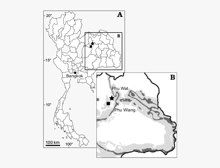 19355, HD Png Download, Free Download