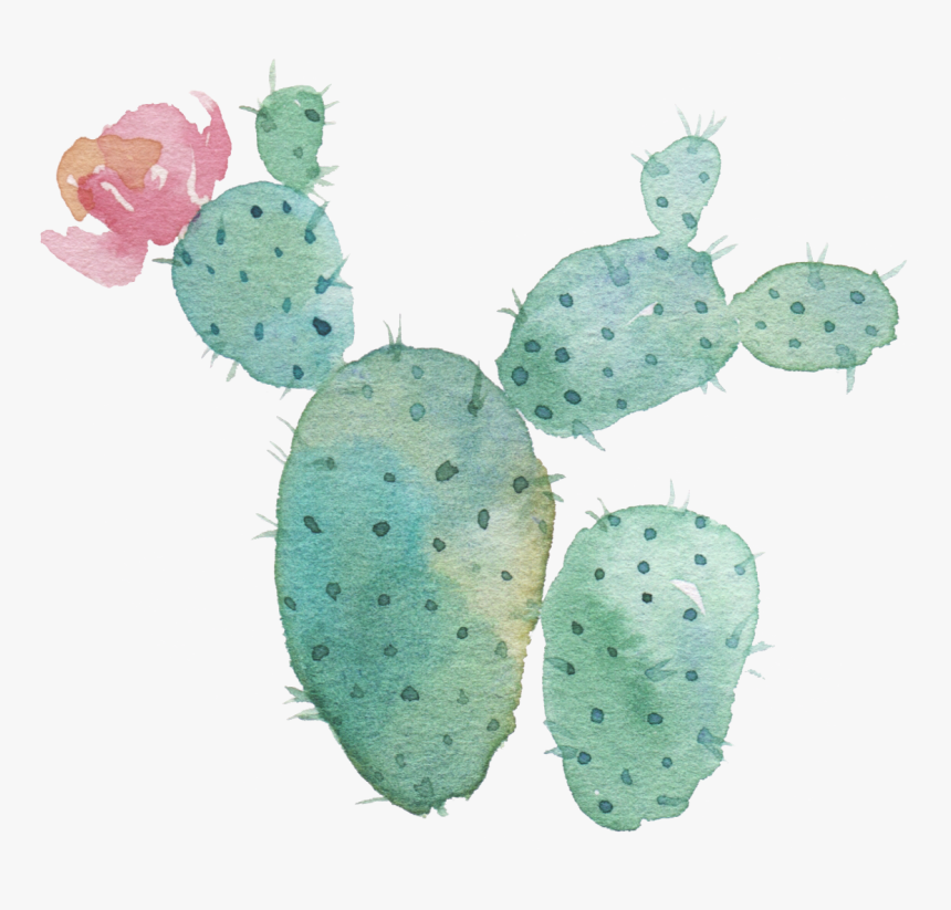 Watercolor Cactus Transparent Background , Png Download, Png Download, Free Download