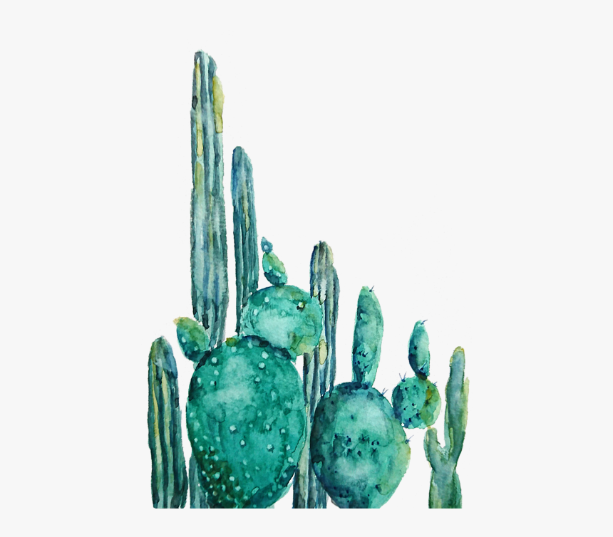Watercolor Cactus Png, Transparent Png, Free Download