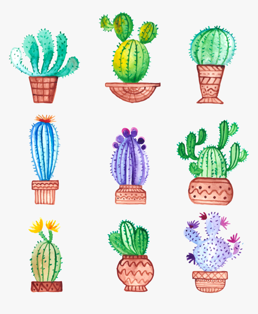 Cactaceae Watercolor Painting Drawing, HD Png Download, Free Download