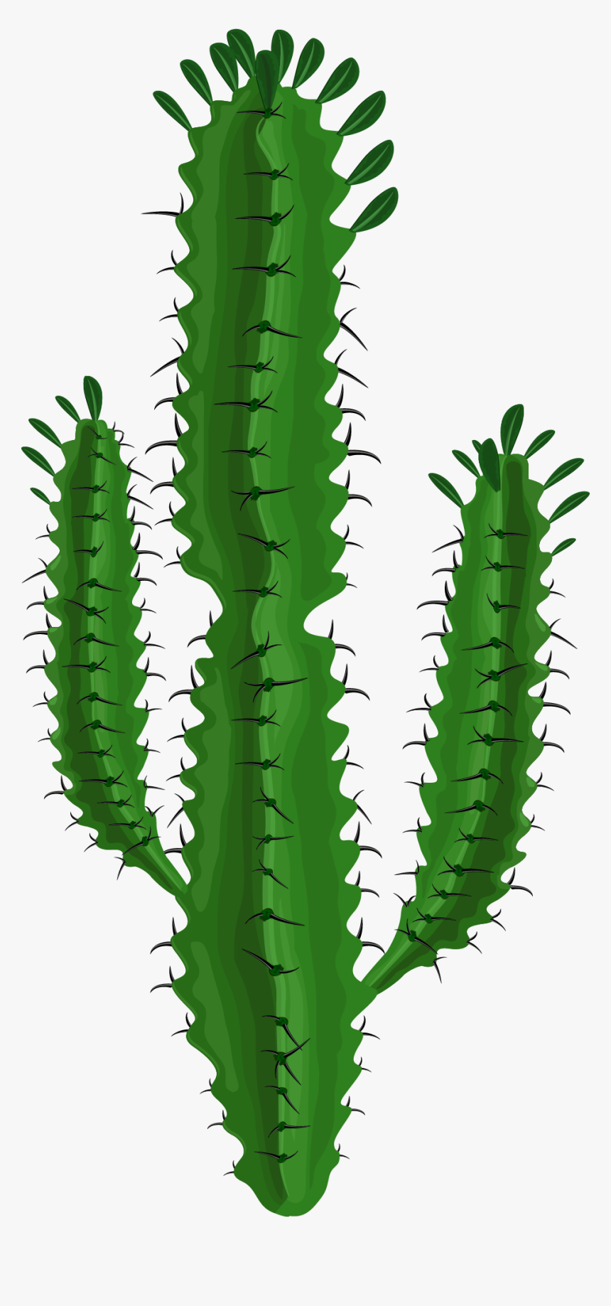 Watercolor Cactus Png, Transparent Png, Free Download