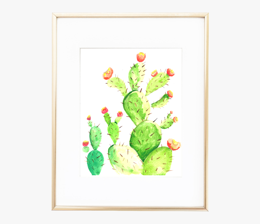 Cactus, HD Png Download, Free Download