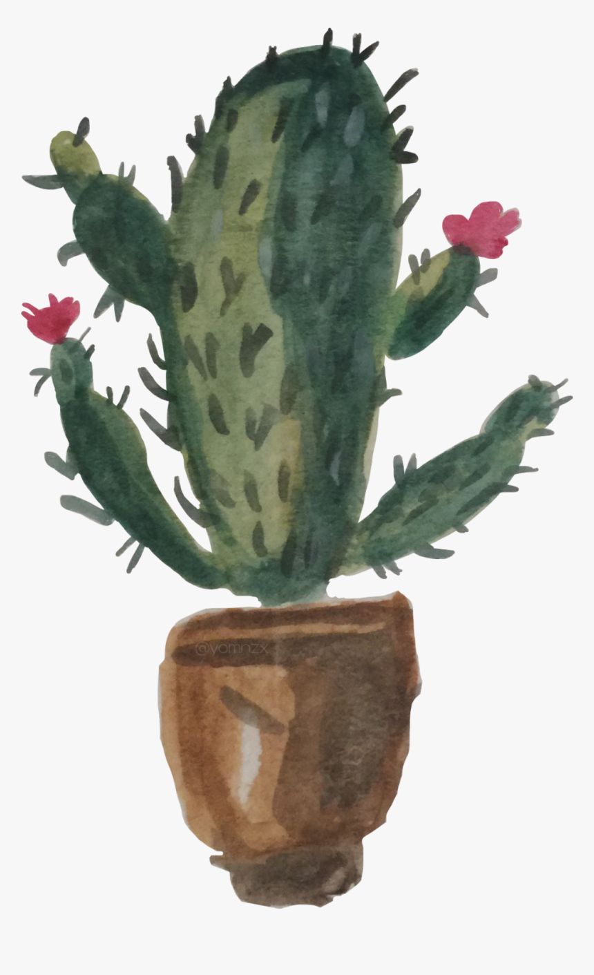 My Draw “cactus” I Turned It Into A Sticker Hope It, HD Png Download, Free Download