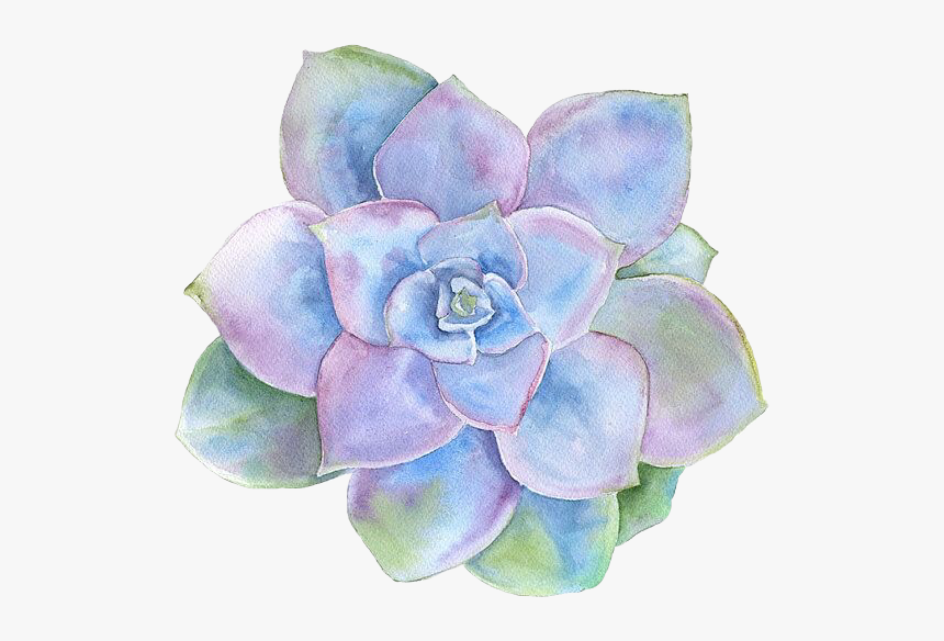 #saculent #cactus #flower #purple #watercolor #watercolour, HD Png Download, Free Download