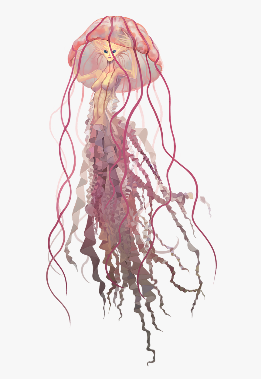 Jelly Fish Png, Transparent Png, Free Download