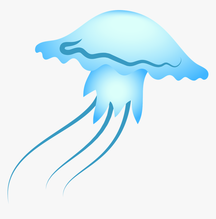 Jellyfish Sea Blue Free Photo, HD Png Download, Free Download