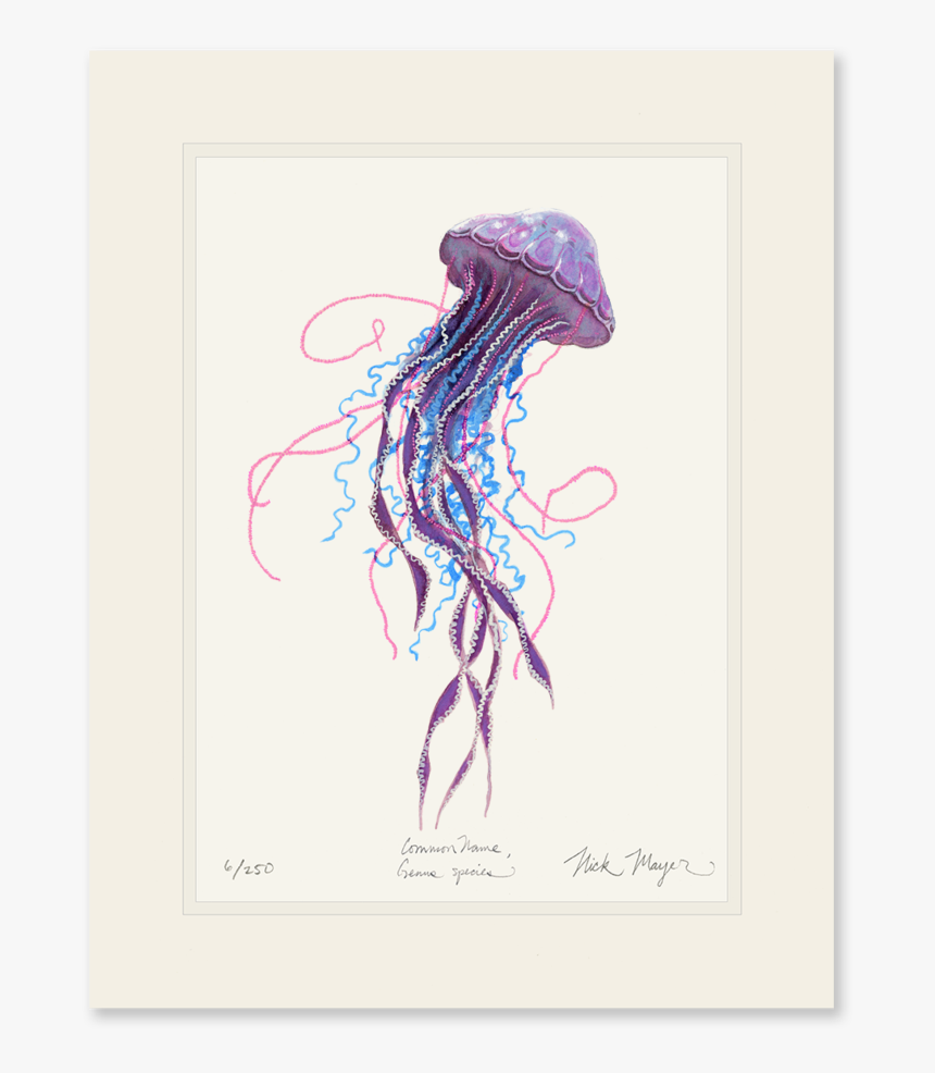 Purple Jellyfish Ii, HD Png Download, Free Download