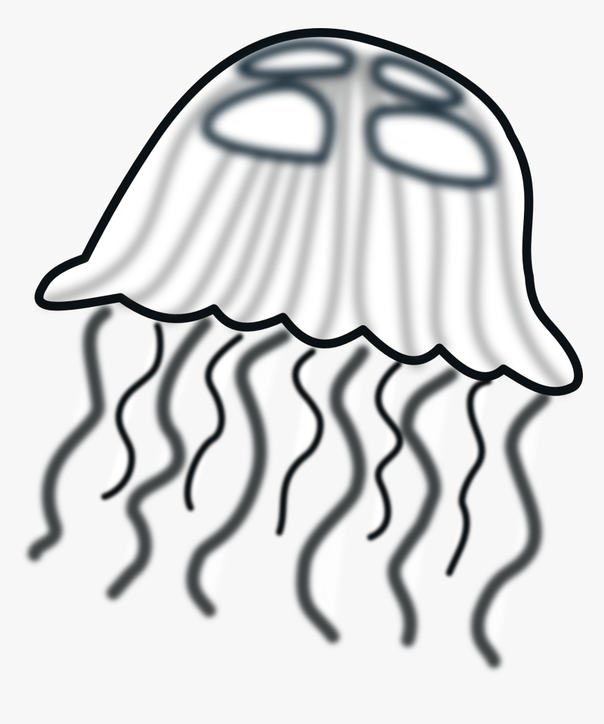 Jelly Fish Png, Transparent Png, Free Download