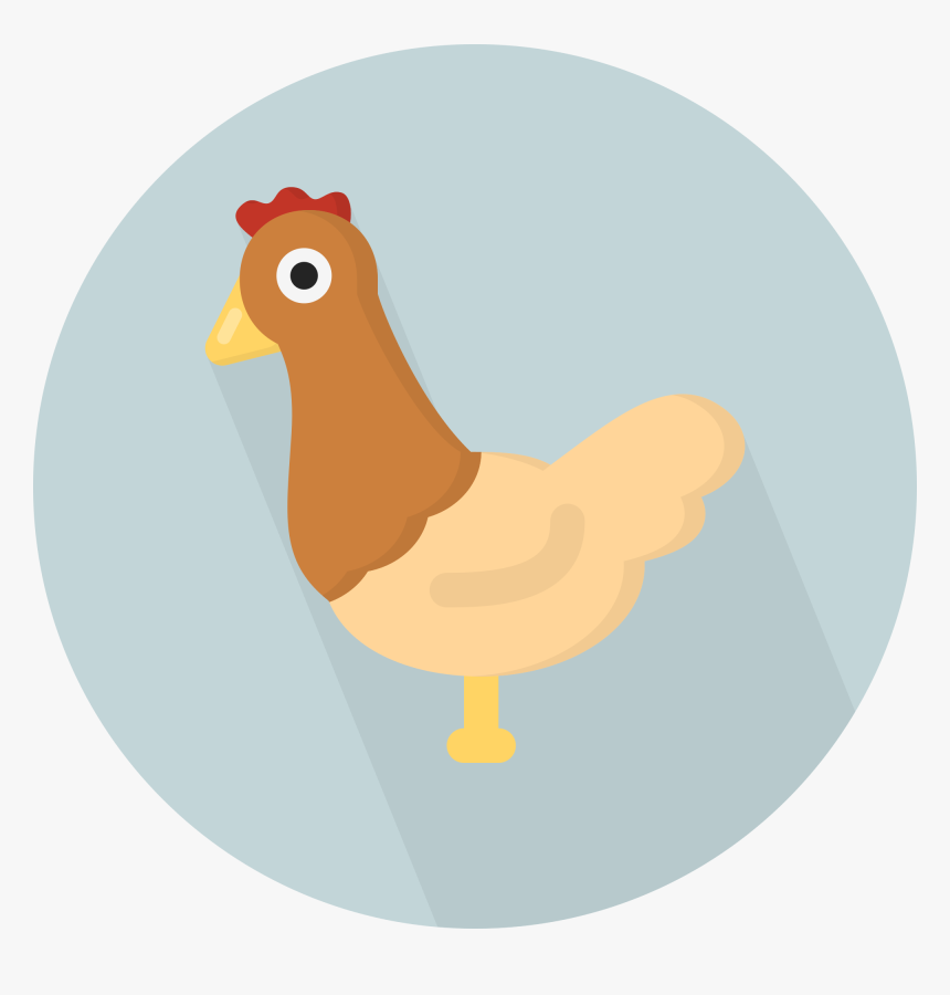 Chickens Clipart Tail, HD Png Download, Free Download