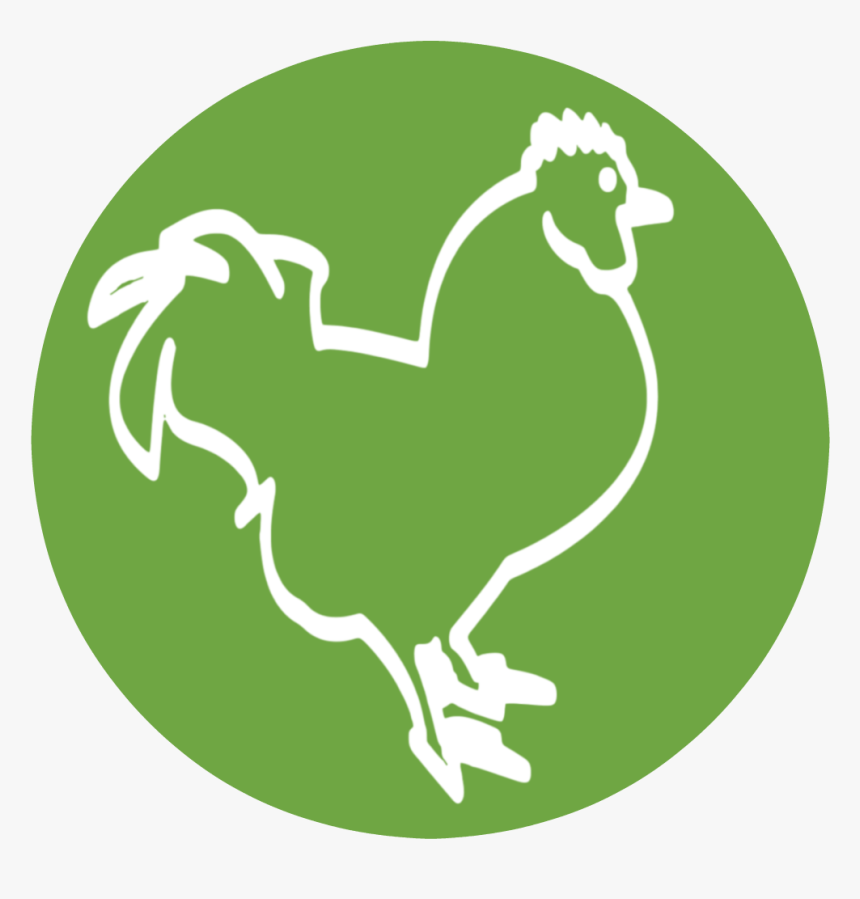 Transparent Chicken Icon Png, Png Download, Free Download