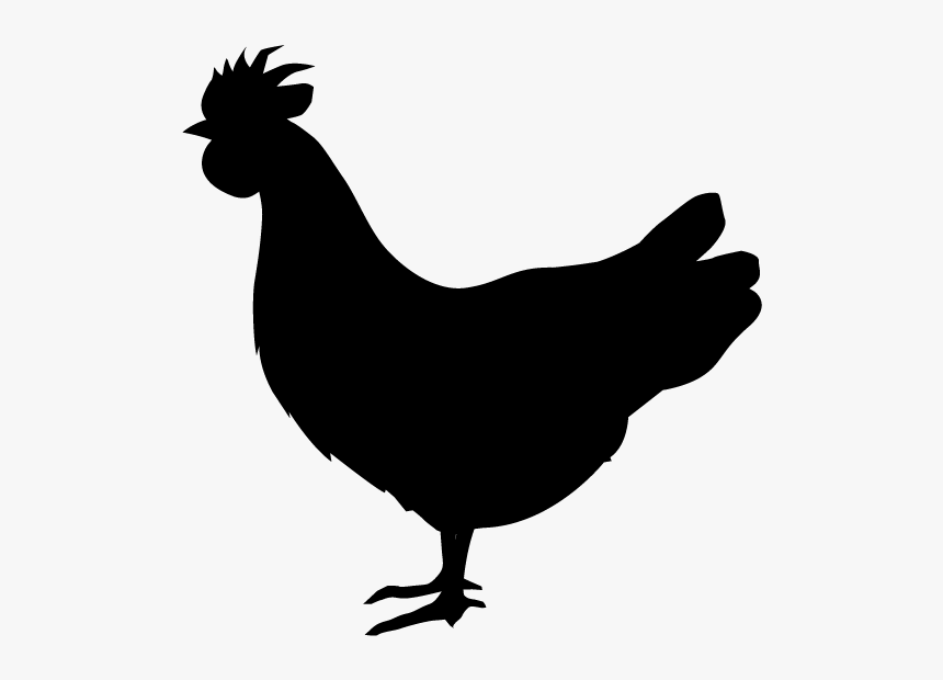 Chicken Icon Png, Transparent Png, Free Download