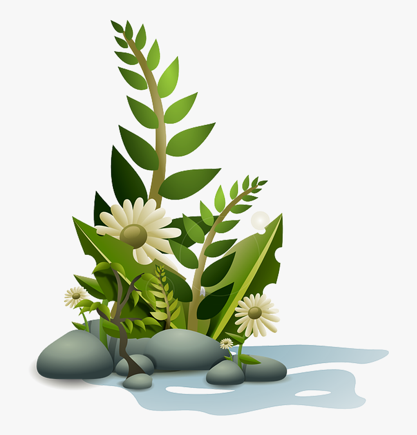 Aquatic Plants Clip Art, HD Png Download, Free Download