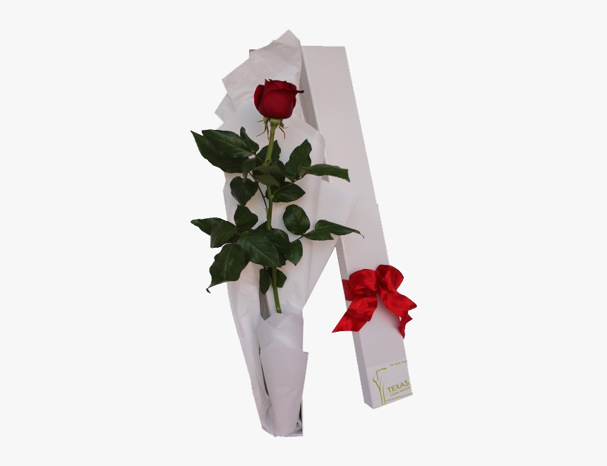 Single Red Rose Png, Transparent Png, Free Download