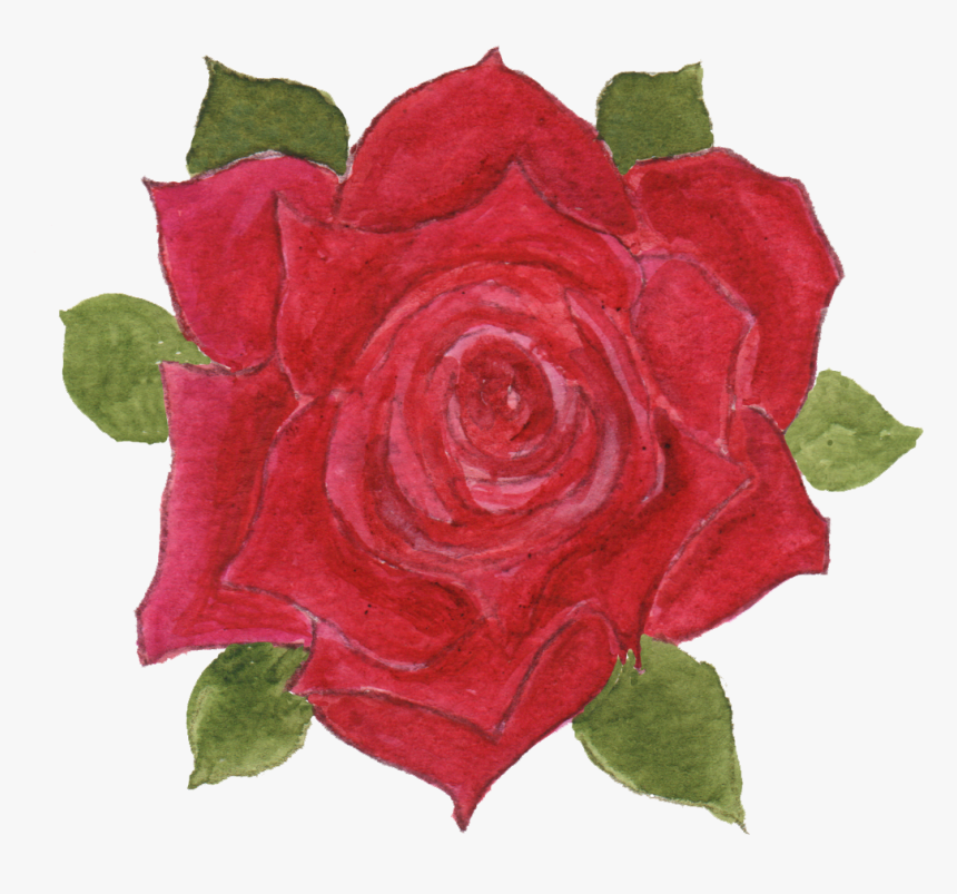 Single Red Rose Png, Transparent Png, Free Download