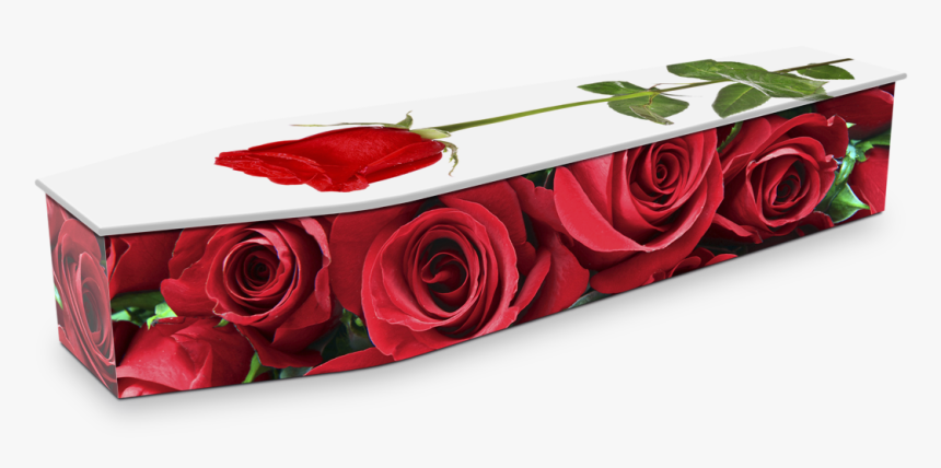 Single Red Rose Png, Transparent Png, Free Download