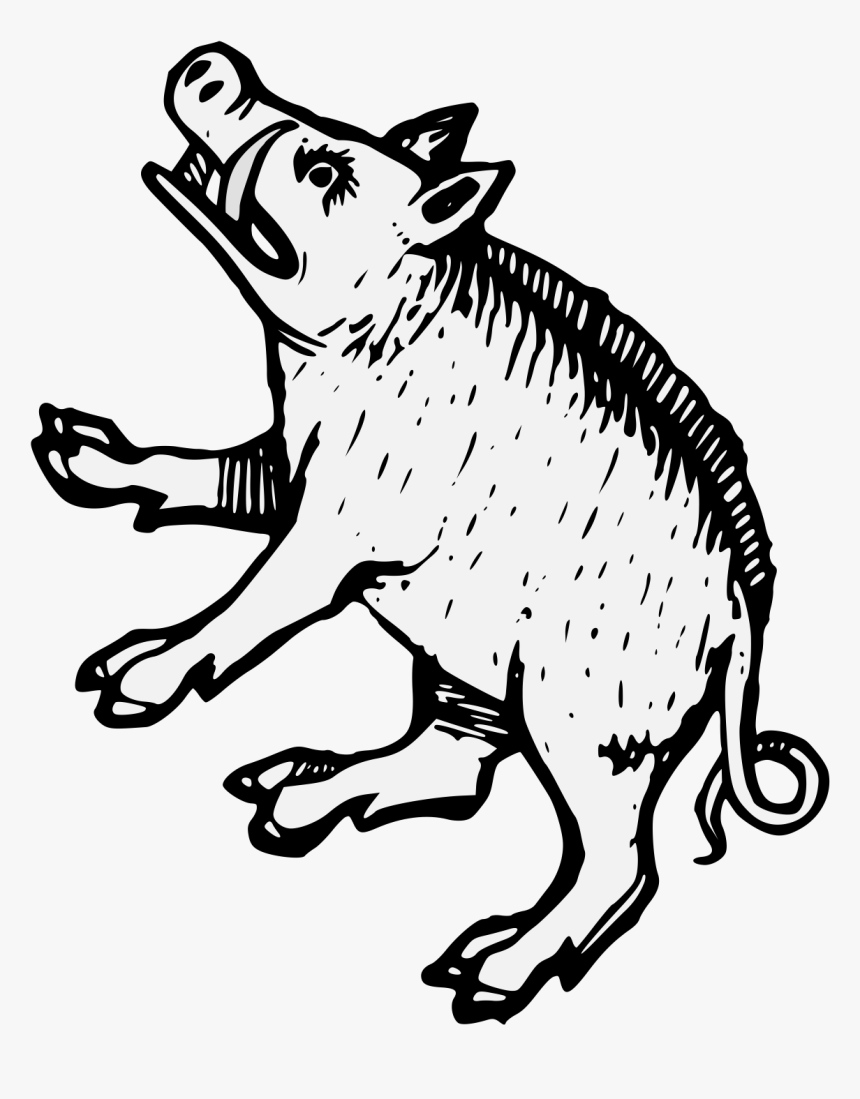 Boar Png, Transparent Png, Free Download