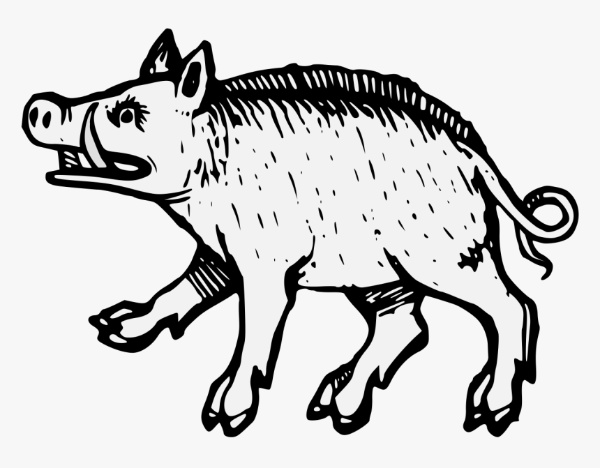 Boar Png, Transparent Png, Free Download