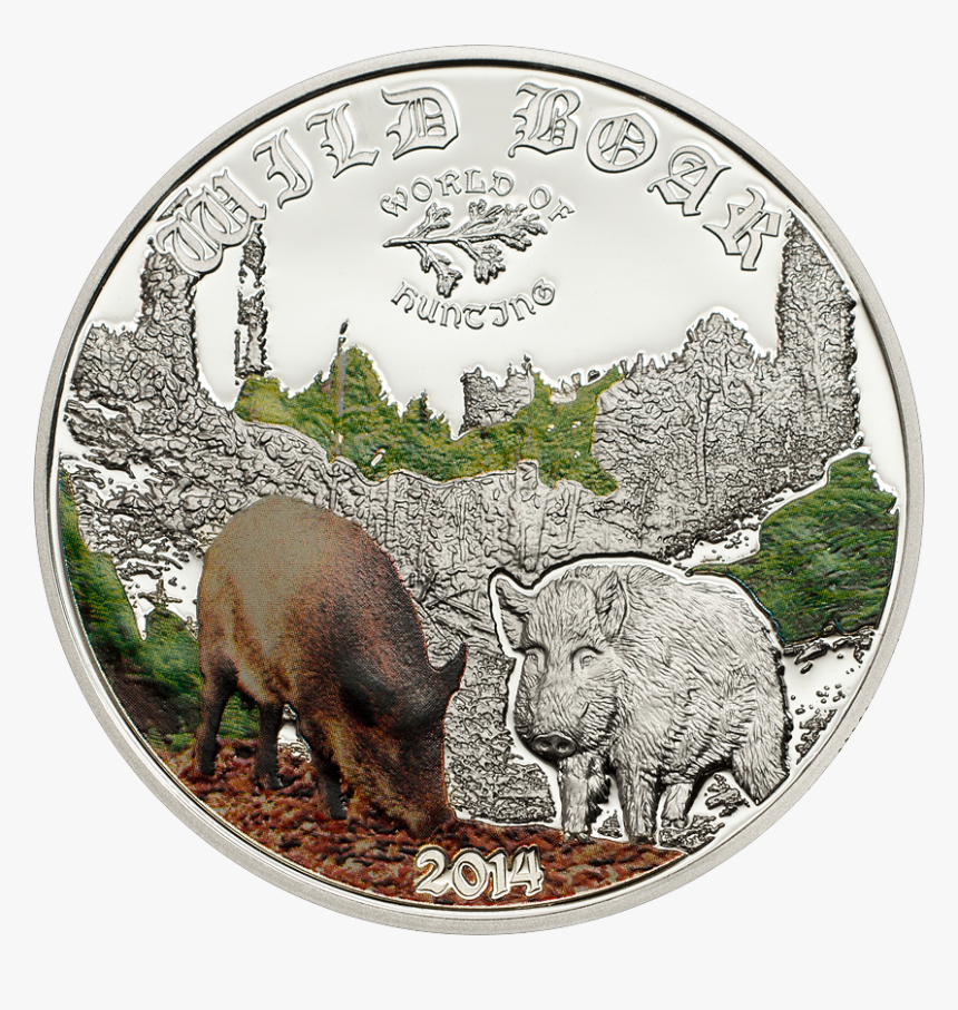 Transparent Wild Boar Png, Png Download, Free Download