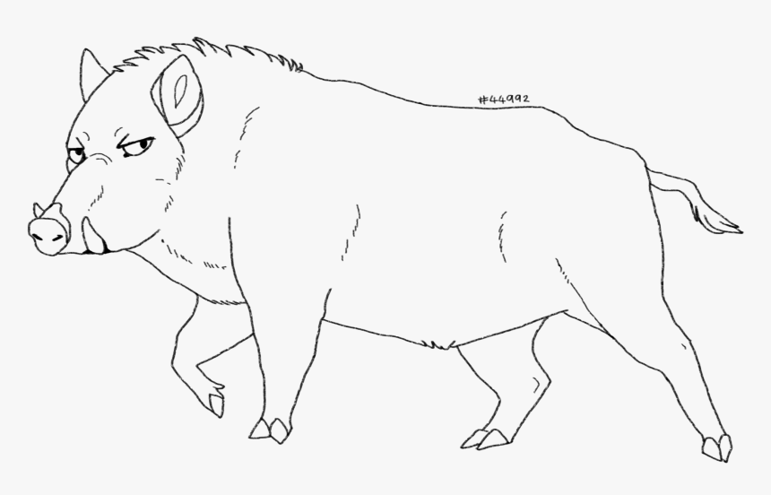 Boar Png, Transparent Png, Free Download