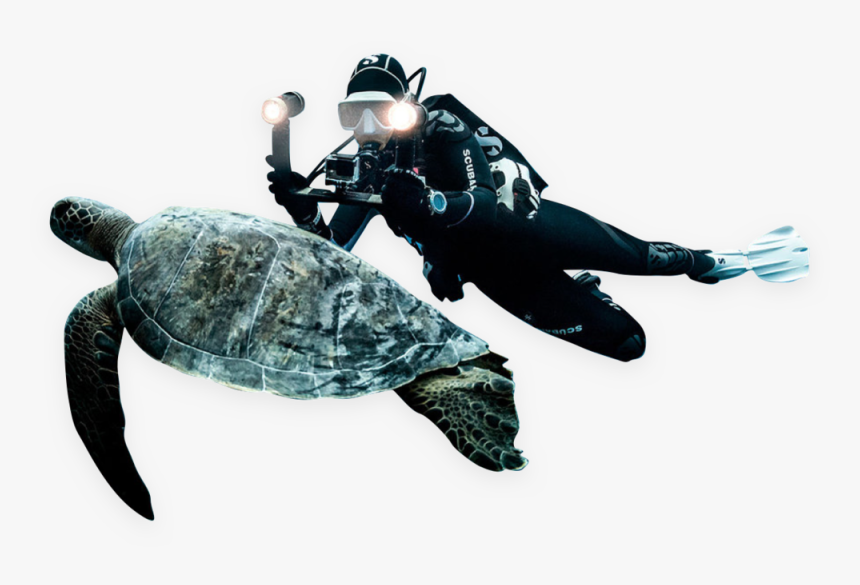 Gear, HD Png Download, Free Download