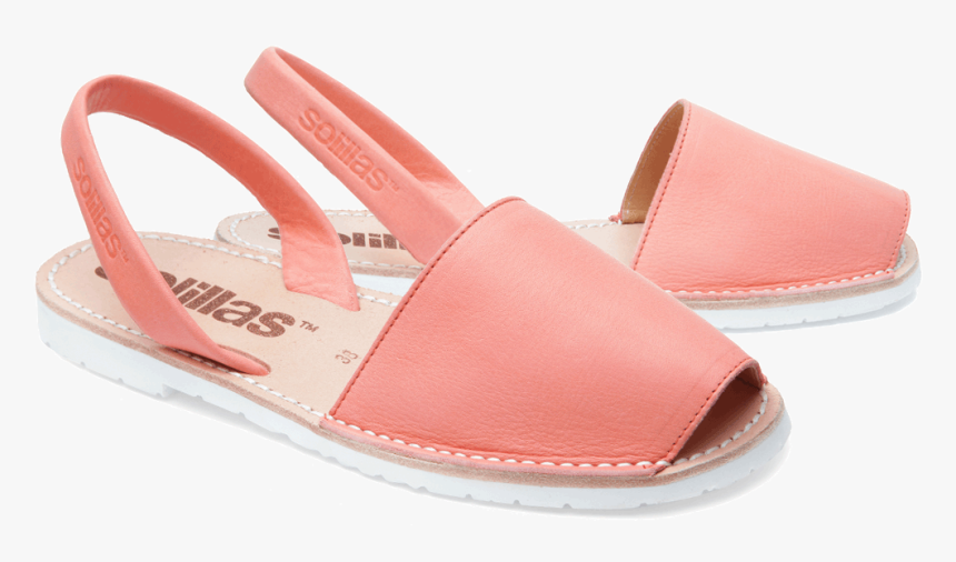 Sal Png, Transparent Png, Free Download