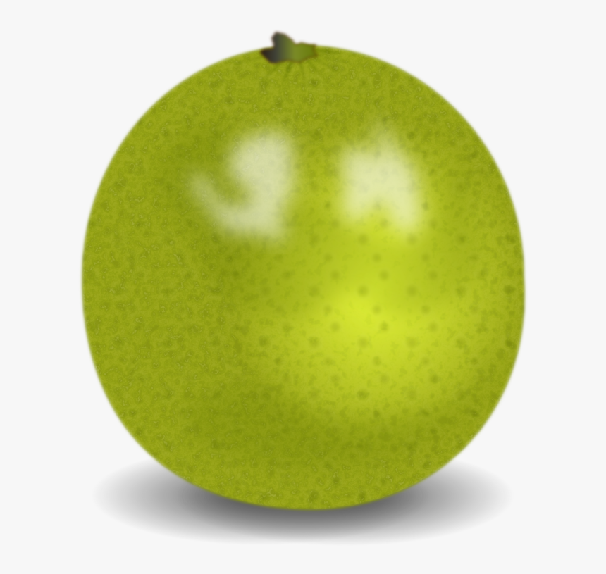 Apple,citrus,granny Smith, HD Png Download, Free Download