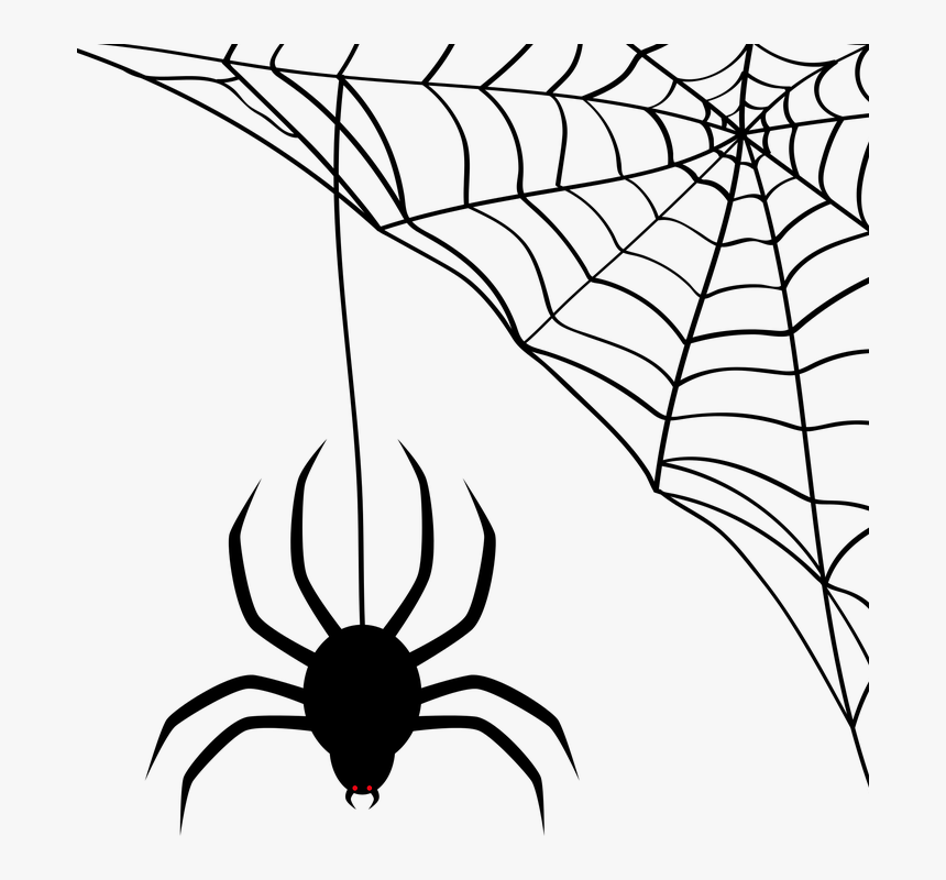 Homem Aranha Png, Transparent Png, Free Download