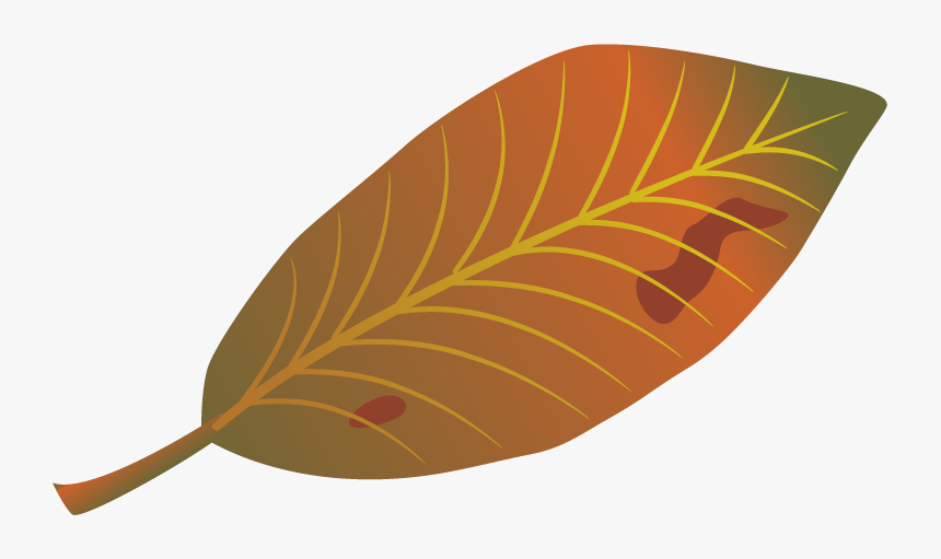 Leaf Autumn Clip Art, HD Png Download, Free Download