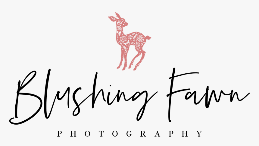 Blushing Fawn Photography, HD Png Download, Free Download