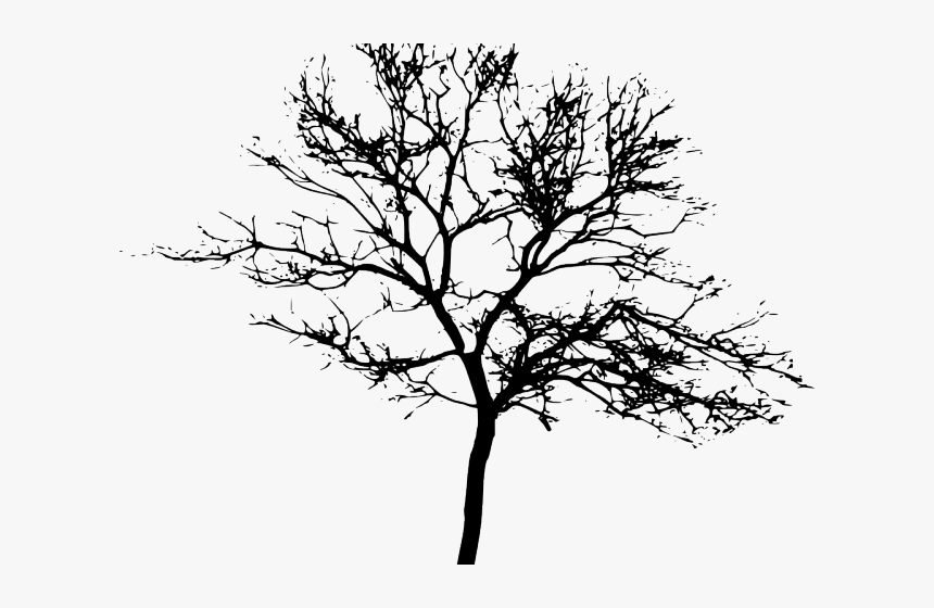Drawn Dead Tree Transparent Background, HD Png Download, Free Download