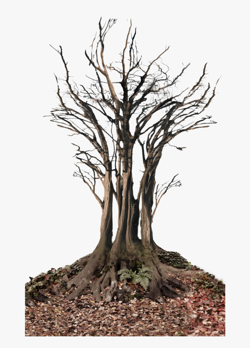 Dead Tree In Landscape Png St, Transparent Png, Free Download