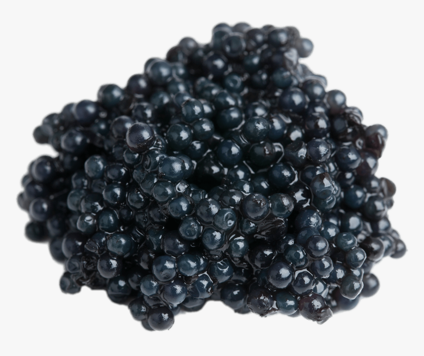 Hackleback Caviar, HD Png Download, Free Download