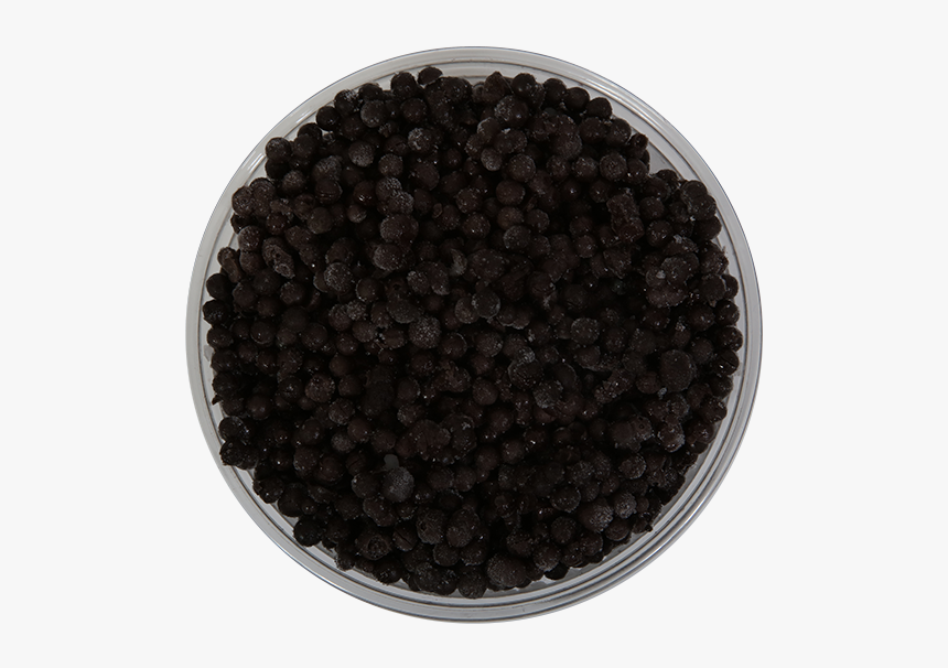 Caviar,food,black Pepper,superfood, HD Png Download, Free Download