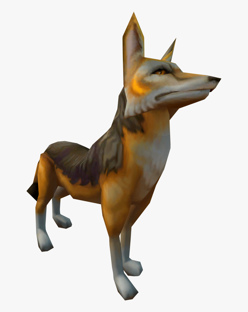 Jackal Png, Transparent Png, Free Download