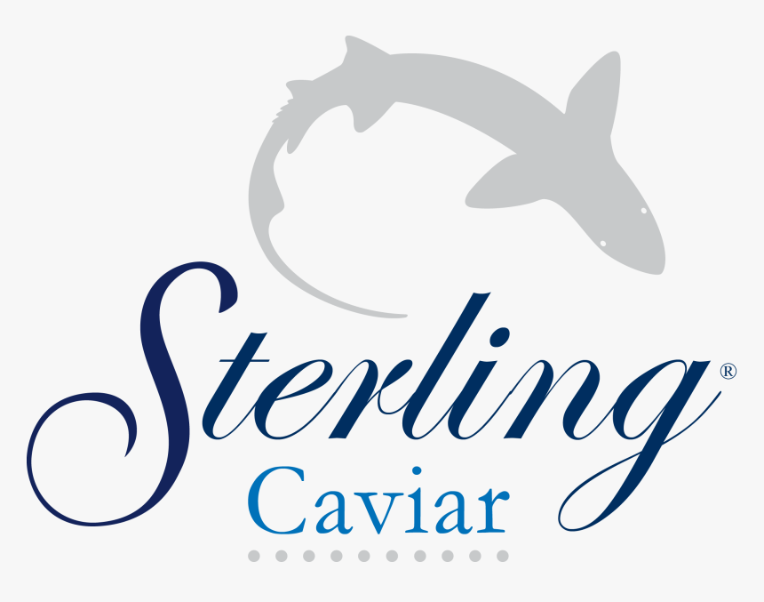 Caviar Png, Transparent Png, Free Download