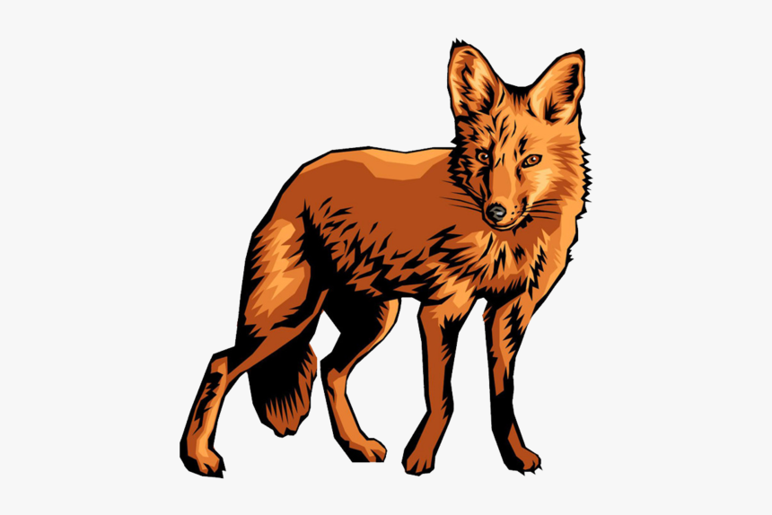 Jackal Background Coyote Transparent, HD Png Download, Free Download