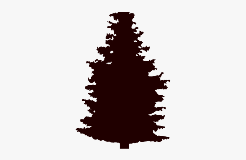 Vector Pine Tree, HD Png Download, Free Download