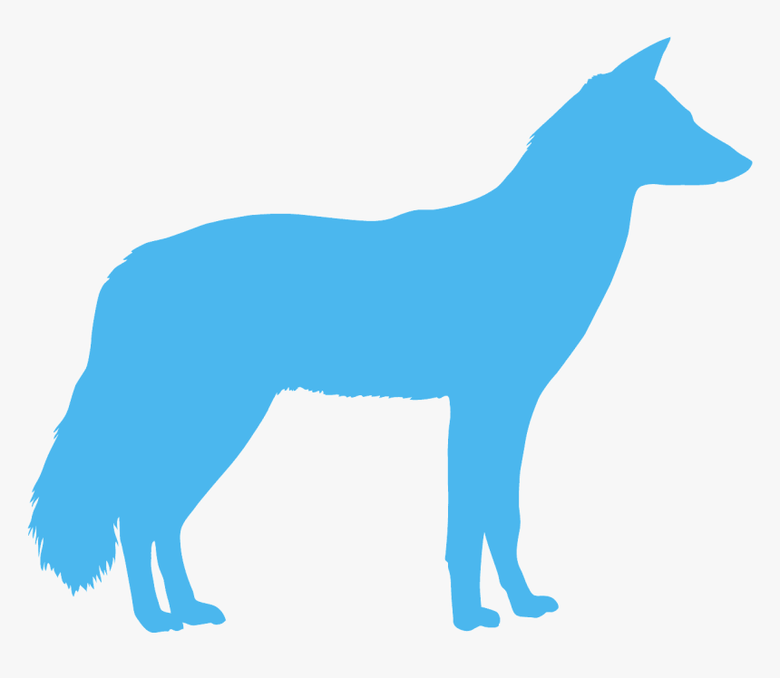 Jackal Png, Transparent Png, Free Download