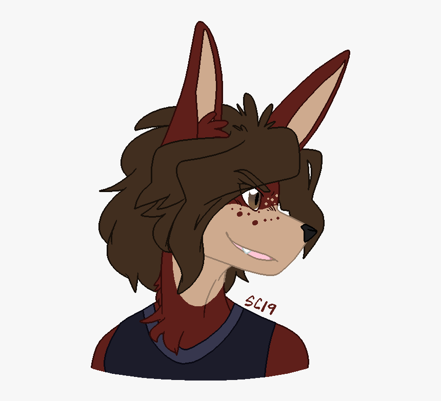 Jackal Png, Transparent Png, Free Download