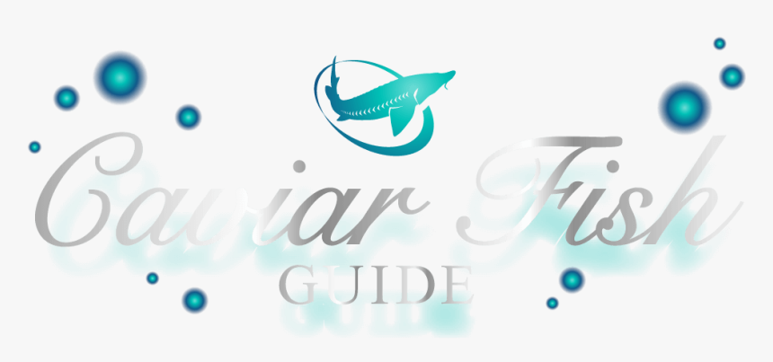 Caviar Fish Guide, HD Png Download, Free Download