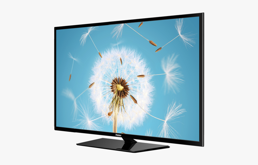 Imagen De Producto, HD Png Download, Free Download